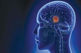 دراسة تكشف عن خلل في أدمغة المجرمين