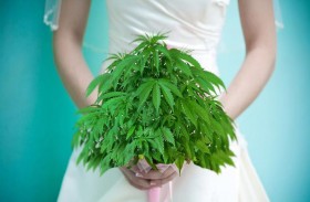 عروس تضع الماريغوانا في طعام الضيوف