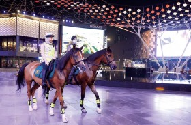 100 خيل تابعة لشرطة دبي تشارك دوريات «المركبات» مهامها الأمنية