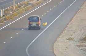 شرطة أبوظبي تحث الجمهور على تجنب رمي المخلفات من المركبات أثناء القيادة