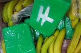 1.5 طن كوكايين في صناديق موز 