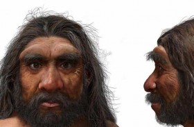 الإنسان التنين.. جمجمة قد تعيد كتابة قصة التطور البشري