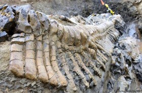 وحش بحيرة لوخ نيس يثير الجدل من جديد!