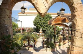 بلدية أبوظبي تنظم ورشة توعوية لتشجيع أفراد المجتمع على الاهتمام بالحدائق المنزلية