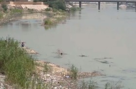 الثروة السمكية تتآكل في العراق.. وتداعيات سلبية بالجملة