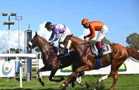 كأس فاطمة بنت مبارك للخيول العربية تنطلق اليوم في فرنسا