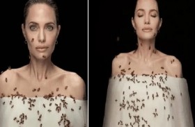 أنجلينا في جلسة تصوير مع النحل