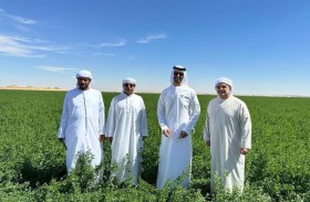 عبدالله بن طوق يزور شركة الظاهرة توشكى في مصر ويطلع على مشروعاتها الاستثمارية