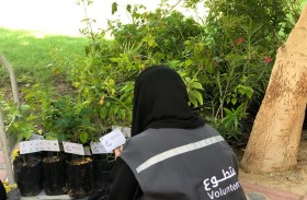 اجتماعية الشارقة توزع 3871 شتلة على كبار المواطنين ضمن مشروع «أنتم جنتنا»