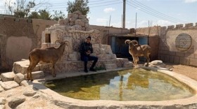 عائلة تربي حيوانات برية لإنقاذها