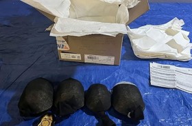 السجن 5 سنوات لصيني هرب سلاحف نادرة