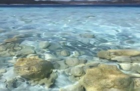 دراسة تكشف عن حياة «غريبة» في أعماق الأرض