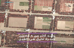 مركز محمد بن راشد للفضاء يرصد 4 ملايين شجرة نخيل في منطقة العين