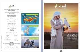«الصقّار » في عددها الجديد: من إرث زايد إلى حاضر ومُستقبل الصقارة