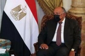   الخارجية المصرية: نثق في حكمة القيادة السياسية بتونس