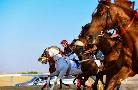 اليوم.. سباق الخيول العربية ينطلق ضمن فعاليات مهرجان ليوا 