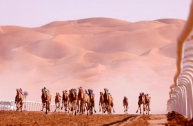 اليوم.. انطلاق منافسات الاستعراض الرملي ضمن مهرجان ليوا 