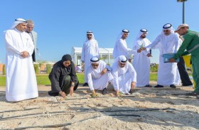 بلدية مدينة أبوظبي تعلن نجاح المرحلة الأولى من مشروع حديقة النباتات الملحية في الشهامة