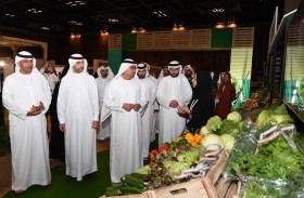 انطلاق أعمال مؤتمر دبي العالمي لسلامة الأغذية في دورته السابعة عشرة