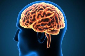 استخراج دودة حية من دماغ رجل