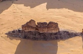 الصخرة السمكة تثير الدهشة في صحراء السعودية