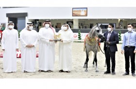 مربط دبي يكتسح بطولة الشارقة للسلالة المصرية ورويال كولورز يؤكد بصمته الإنتاجية الراسخة