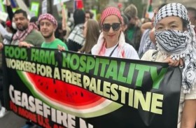 سرقوه من فلسطين.. عريضة أميركية لمقاطعة المطبخ الإسرائيلي