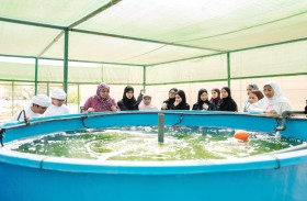 في ختام نسخته الأولى .. برنامج «مستديم» يخرّج جيلاً جديداً من قادة الاستدامة الشباب في الإمارات