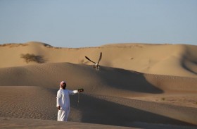 محمية المرزوم بأبوظبي تختتم موسمها للصيد التقليدي 2020 - 2021