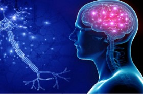 العلماء يكتشفون السبب المحتمل لمرض ألزهايمر!