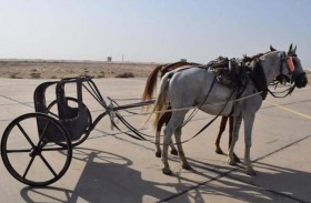 مصر.. 22 عجلة حربية للحدث التاريخي