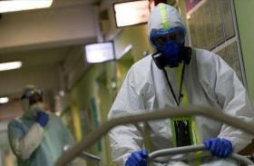 تفشي فيروس ماربورغ في دولة إفريقية