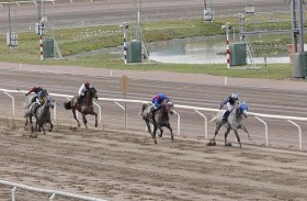 السويد تستضيف المحطة الرابعة من كأس رئيس الدولة للخيول العربية اليوم