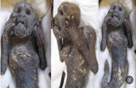 دراسة تكشف حقيقة حورية البحر المحنطة في اليابان