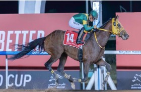 اليوم.. قرعة 5 أشواط في كأس دبي العالمي