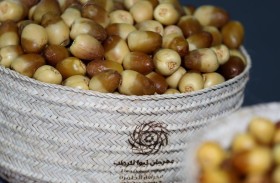 برعاية منصور بن زايد.. الدورة الـ 21 من مهرجان ليوا للرطب تنطلق اليوم