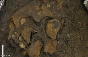 اكتشاف مخيف يعود لـ8 آلاف عام.. طفل مقطوع الأوصال