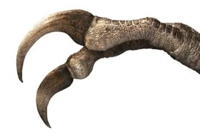 بمخالب «كبيرة وحادة».. اكتشاف حفرية ديناصور غريب 