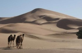 علماء يكشفون سر «الكثبان الرملية النجمية » في المغرب