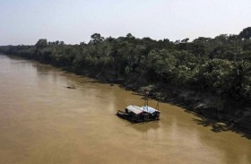 سر  تنقل مصاصة الدماء الخطيرة في الأمازون