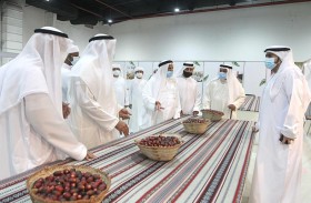 مهرجان الذيد للرطب 2021 منصة سنوية هامة ينتظرها ملّاك النخيل للترويج لمنتجاتهم المحلية 