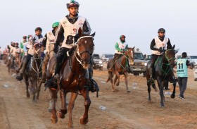 برعاية منصور بن زايد .. انطلاق «كأس اليوم الوطني للقدرة»
