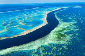 علماء: ارتفاع حرارة المحيطات يهدد الحاجز المرجاني 