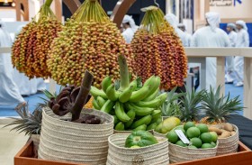 مهرجان ليوا للرطب بدورته الـ21 يستقطب 144.6 ألف زائر