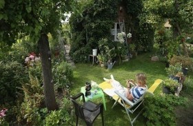 كيف تجعل الحديقة الصغيرة تبدو كبيرة؟