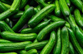 فوائد غير متوقعة للخيار المر