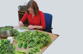 ما هو الريجيم النباتي المرن؟