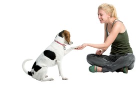 دراسة: الحيوانات الأليفة تؤثر سلباً على جودة النوم