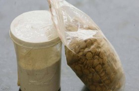 مخدرات في  الجبن 