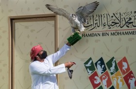 الكندي وبن غدير يحصدان «رمز بيور جير» في بطولة فخر الأجيال للصيد بالصقور «التلواح» 